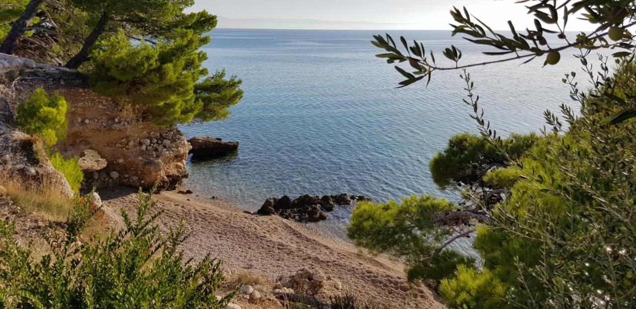 Luxury Apartment Spa "Marina" Makarska Dış mekan fotoğraf