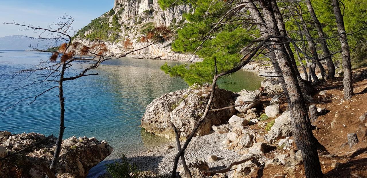 Luxury Apartment Spa "Marina" Makarska Dış mekan fotoğraf
