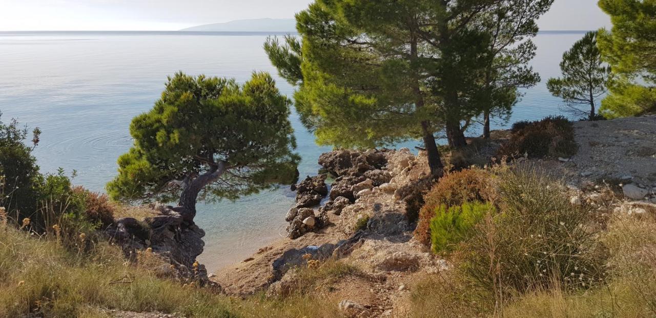 Luxury Apartment Spa "Marina" Makarska Dış mekan fotoğraf