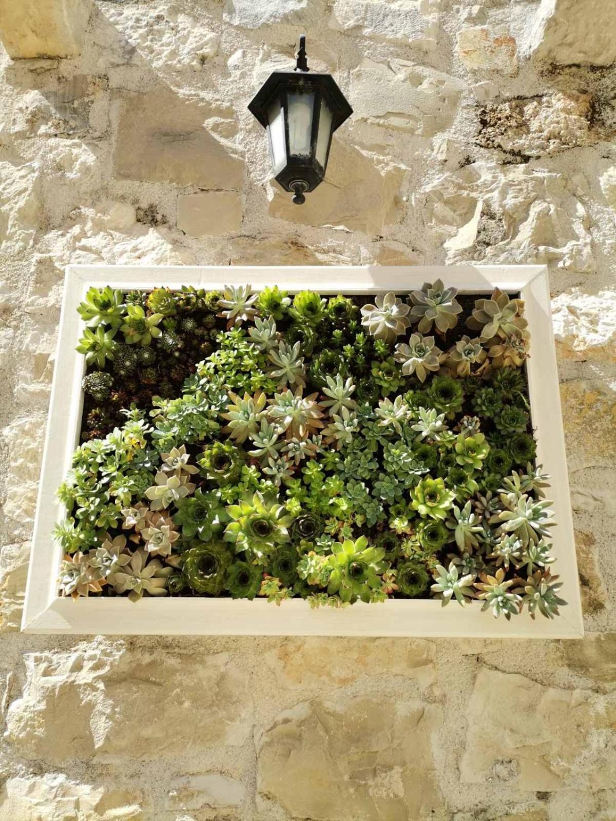 Luxury Apartment Spa "Marina" Makarska Dış mekan fotoğraf