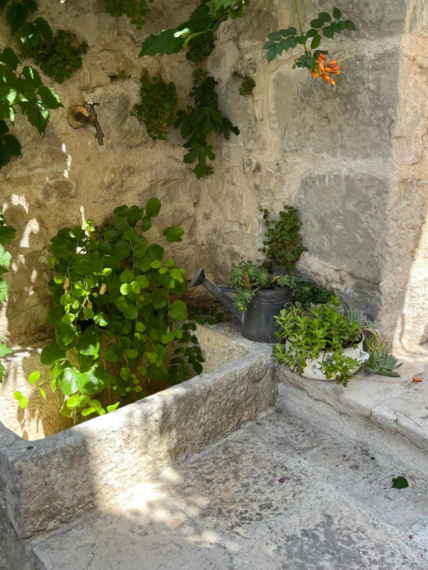 Luxury Apartment Spa "Marina" Makarska Dış mekan fotoğraf